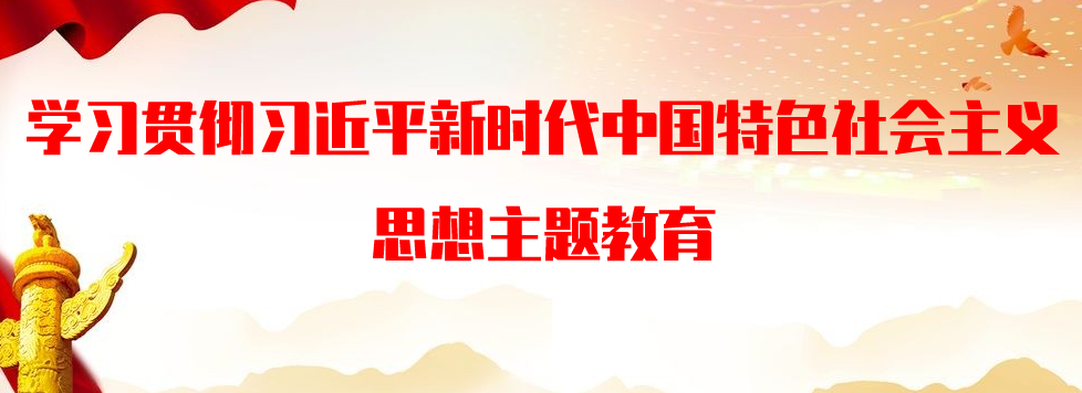 学习贯彻习近平新时代中国特色社会主义思想主题教育