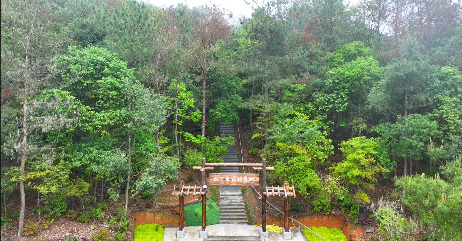 让“沉睡资产”变“金山银山”