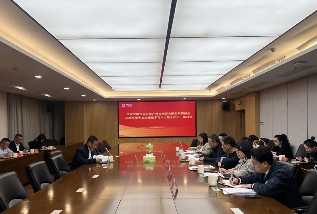 【党的建设】市国投公司召开2025年第十三次党委理论学习中心组（扩大）学习会